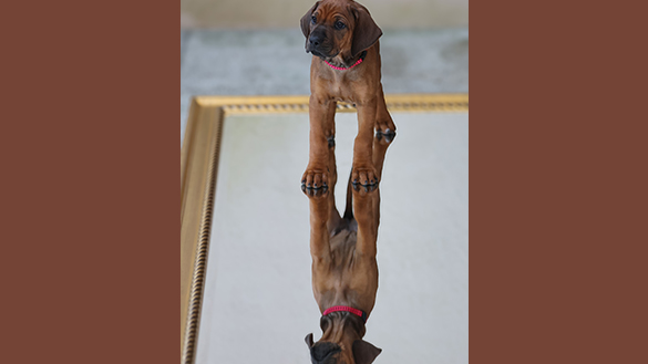 07.04.2025 - M-Wurf Bild 1